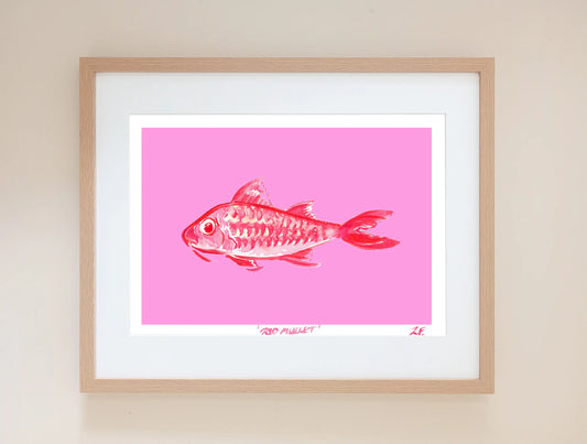 Red Mullet Fish print on bright pink background. UK made art.