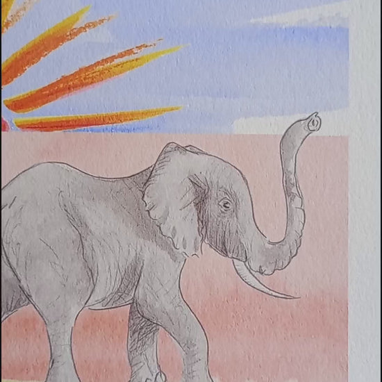 Video of elephants walking in front of sun