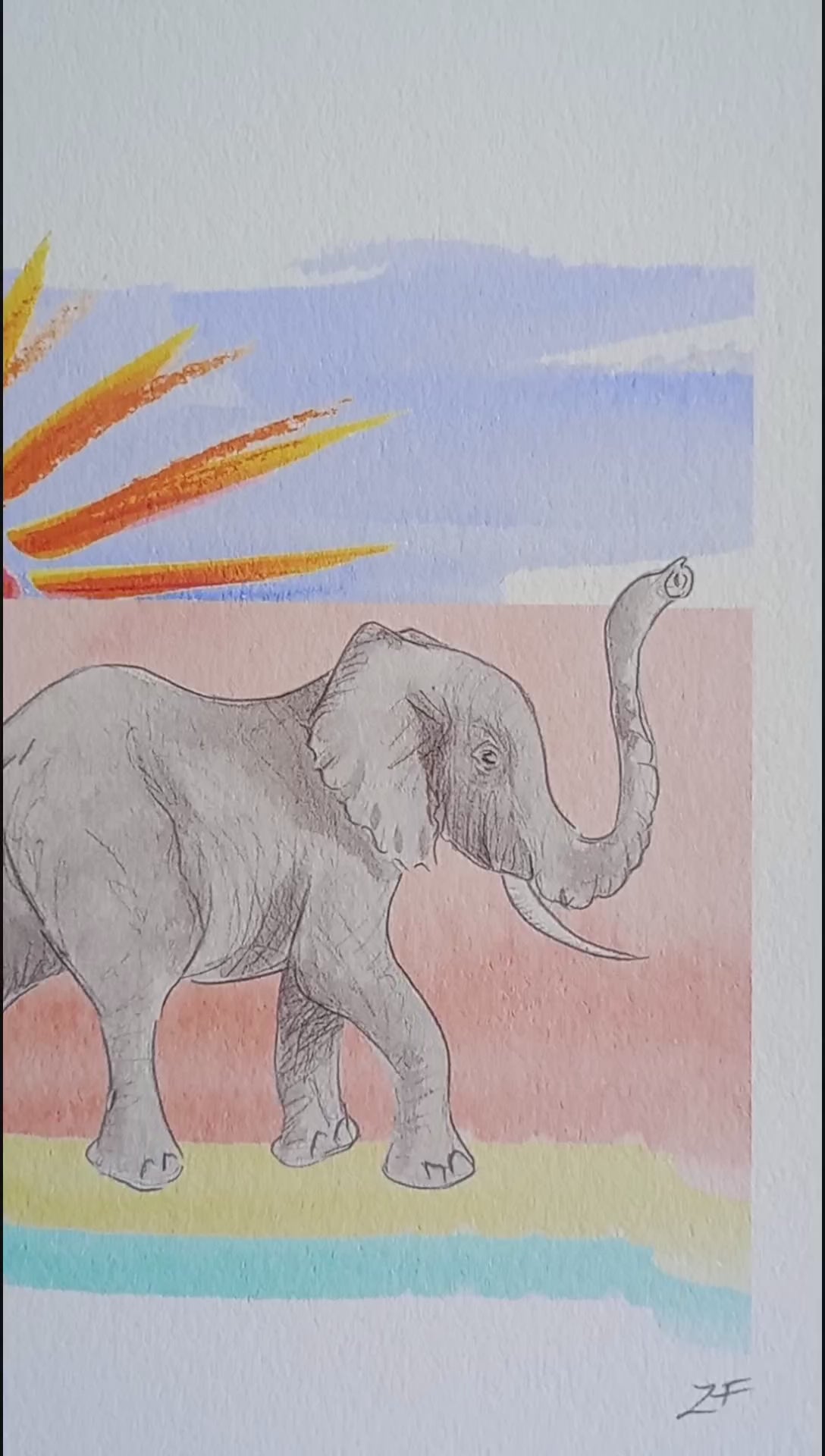 Video of elephants walking in front of sun